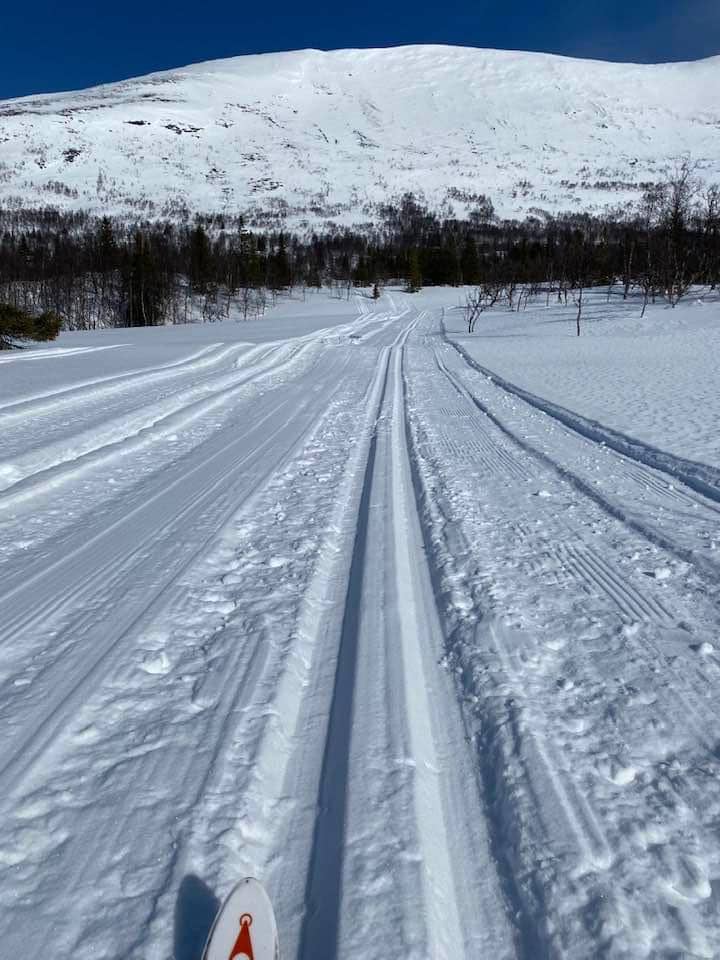 Längdspår i Borgafjäll